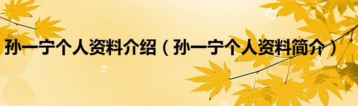 孙一宁个人资料介绍【孙一宁个人资料简介】