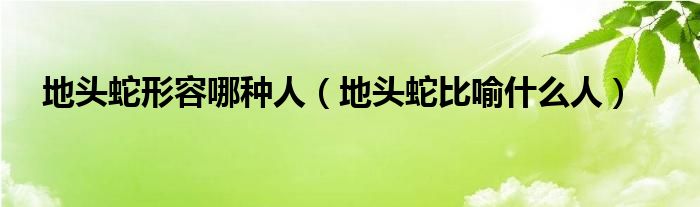 地头蛇形容哪种人【地头蛇比喻什么人】