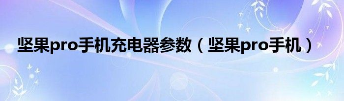 坚果pro手机充电器参数【坚果pro手机】