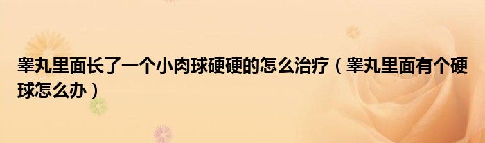 睾丸里面长了一个小肉球硬硬的怎么治疗【睾丸里面有个硬球怎么办】