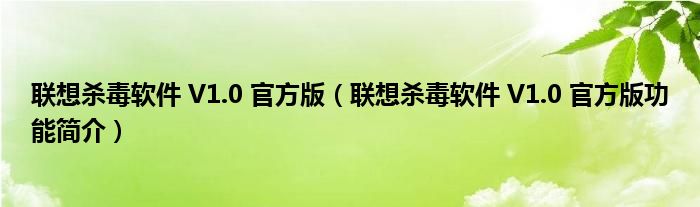 联想杀毒软件 V1.0 官方版【联想杀毒软件 V1.0 官方版功能简介】