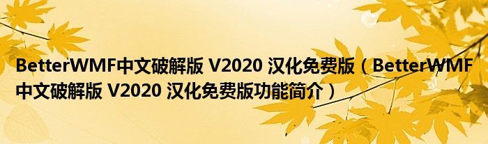 BetterWMF中文破解版 V2020 汉化免费版【BetterWMF中文破解版 V2020 汉化免费版功能简介】