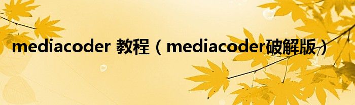 mediacoder 教程【mediacoder破解版】