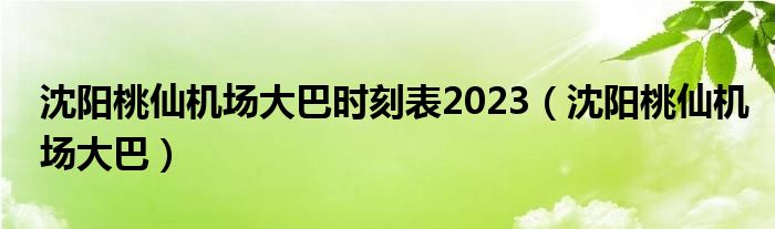 沈阳桃仙机场大巴时刻表2023【沈阳桃仙机场大巴】