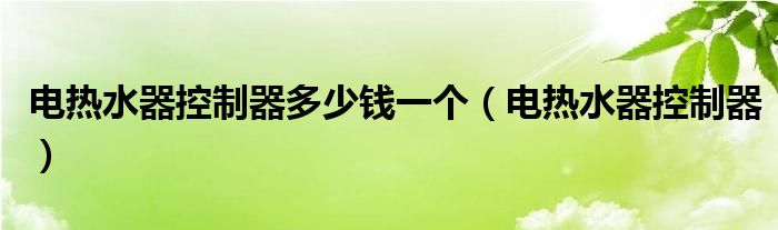 电热水器控制器多少钱一个【电热水器控制器】