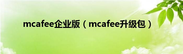 mcafee企业版【mcafee升级包】