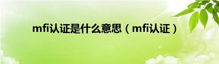 mfi认证是什么意思【mfi认证】