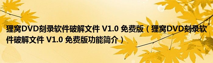 狸窝DVD刻录软件破解文件 V1.0 免费版【狸窝DVD刻录软件破解文件 V1.0 免费版功能简介】