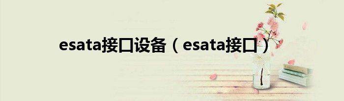 esata接口设备【esata接口】