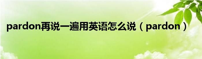 pardon再说一遍用英语怎么说【pardon】