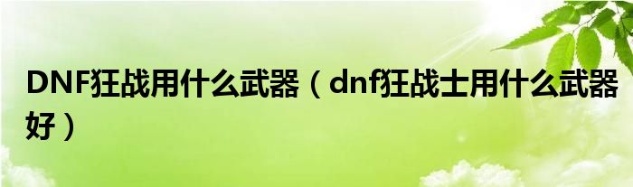 DNF狂战用什么武器【dnf狂战士用什么武器好】