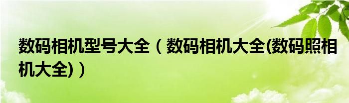 数码相机型号大全【数码相机大全(数码照相机大全)】