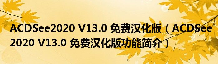 ACDSee2020 V13.0 免费汉化版【ACDSee2020 V13.0 免费汉化版功能简介】