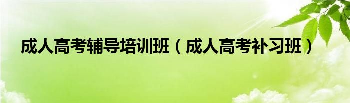 成人高考辅导培训班【成人高考补习班】