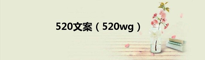 520文案【520wg】