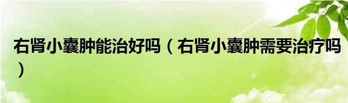 右肾小囊肿能治好吗【右肾小囊肿需要治疗吗】