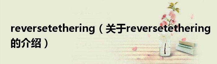 reversetethering【关于reversetethering的介绍】