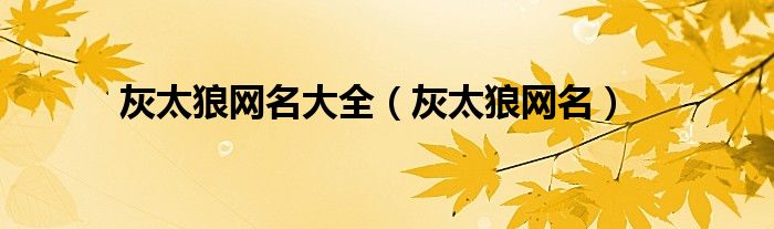 灰太狼网名大全【灰太狼网名】