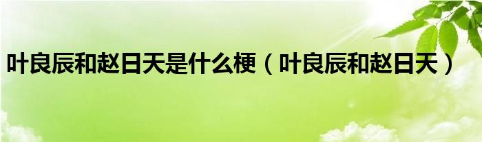 叶良辰和赵日天是什么梗【叶良辰和赵日天】