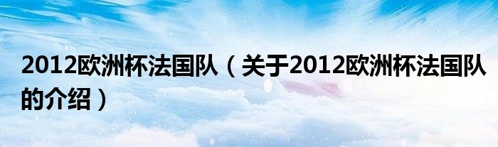 2012欧洲杯法国队【关于2012欧洲杯法国队的介绍】