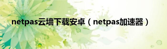 netpas云墙下载安卓【netpas加速器】