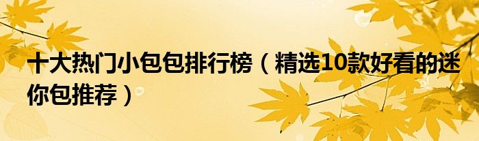 十大热门小包包排行榜【精选10款好看的迷你包推荐】