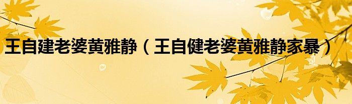 王自建老婆黄雅静【王自健老婆黄雅静家暴】