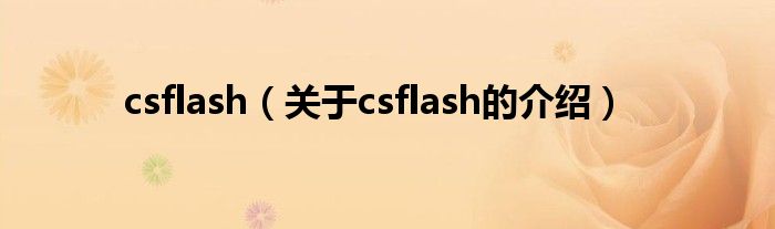 csflash【关于csflash的介绍】