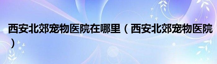 西安北郊宠物医院在哪里【西安北郊宠物医院】