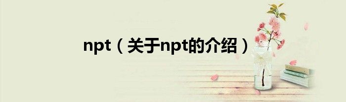 npt【关于npt的介绍】