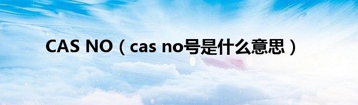 CAS NO【cas no号是什么意思】