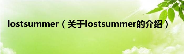 lostsummer【关于lostsummer的介绍】