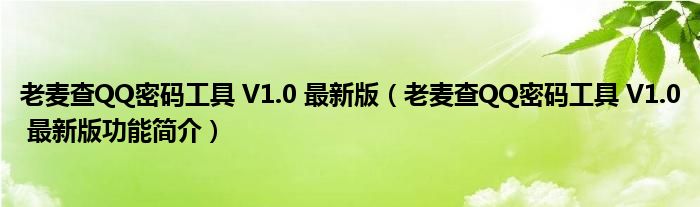 老麦查QQ密码工具 V1.0 最新版【老麦查QQ密码工具 V1.0 最新版功能简介】