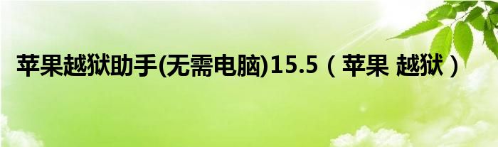 苹果越狱助手(无需电脑)15.5【苹果 越狱】