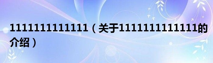 1111111111111【关于1111111111111的介绍】