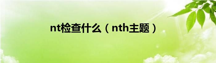 nt检查什么【nth主题】