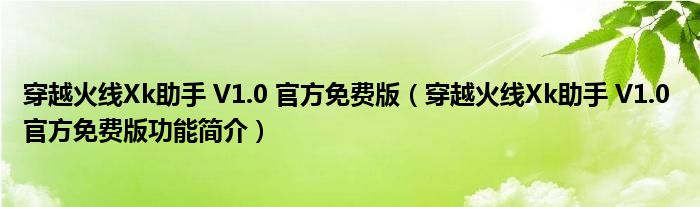 穿越火线Xk助手 V1.0 官方免费版【穿越火线Xk助手 V1.0 官方免费版功能简介】