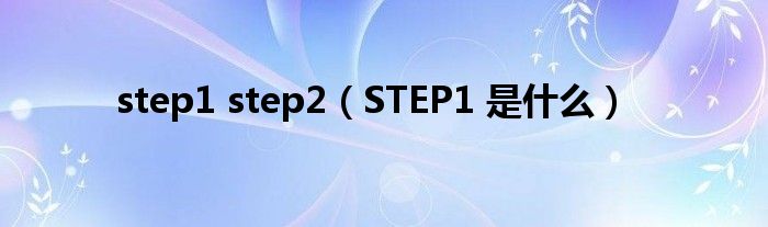 step1 step2【STEP1 是什么】