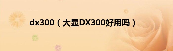 dx300【大显DX300好用吗】