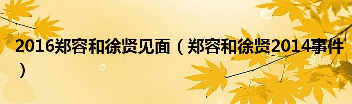 2016郑容和徐贤见面【郑容和徐贤2014事件】