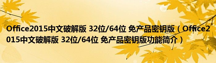 Office2015中文破解版 32位/64位 免产品密钥版【Office2015中文破解版 32位/64位 免产品密钥版功能简介】