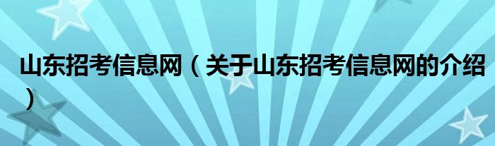 山东招考信息网【关于山东招考信息网的介绍】