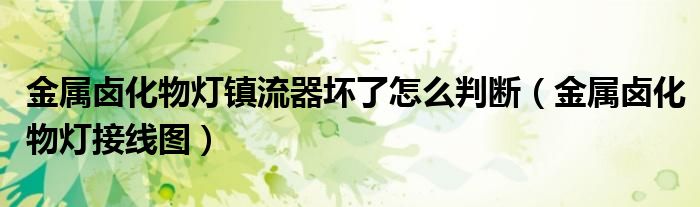 金属卤化物灯镇流器坏了怎么判断【金属卤化物灯接线图】