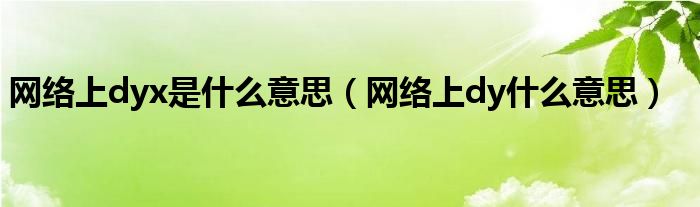 网络上dyx是什么意思【网络上dy什么意思】