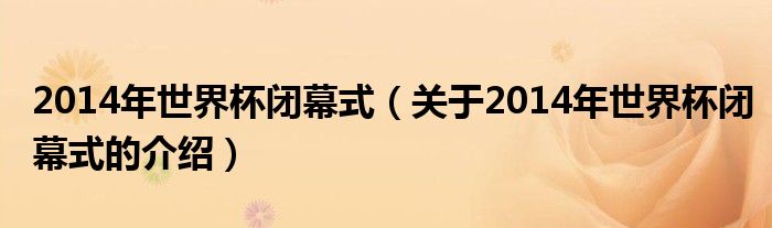 2014年世界杯闭幕式【关于2014年世界杯闭幕式的介绍】