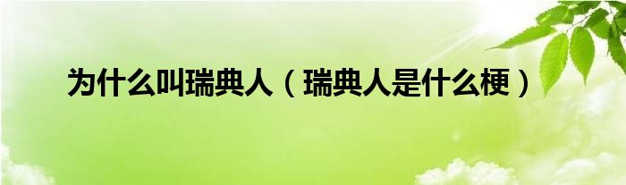 为什么叫瑞典人【瑞典人是什么梗】