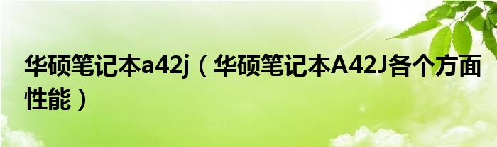 华硕笔记本a42j【华硕笔记本A42J各个方面性能】