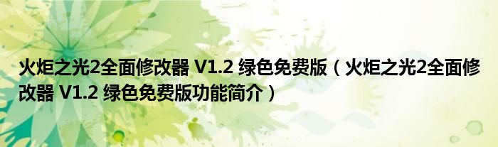 火炬之光2全面修改器 V1.2 绿色免费版【火炬之光2全面修改器 V1.2 绿色免费版功能简介】