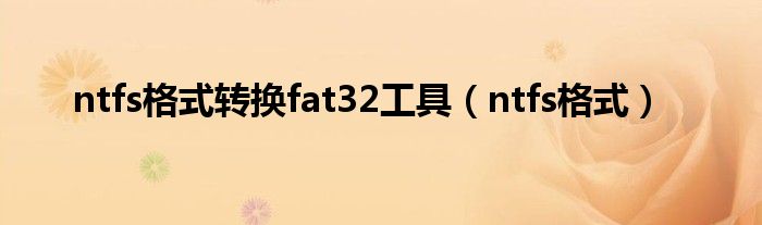 ntfs格式转换fat32工具【ntfs格式】