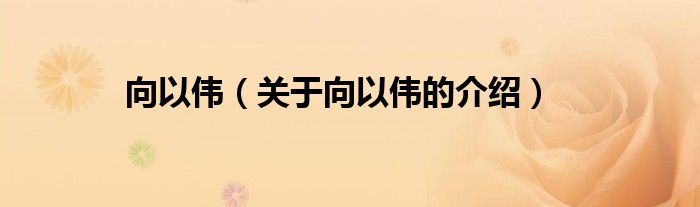 向以伟【关于向以伟的介绍】